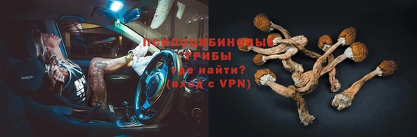 бошки Аркадак