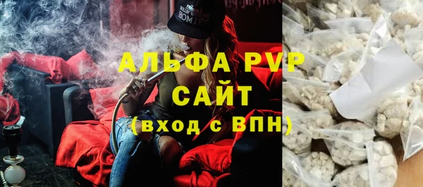 прущие грибы Арсеньев