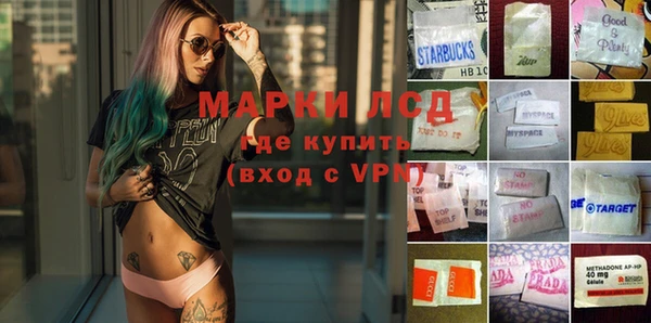 эйфоретик Алзамай