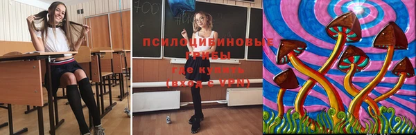 бутират Алексин