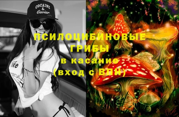 прущие грибы Арсеньев